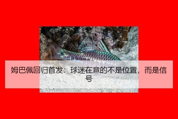 姆巴佩回归首发：球迷在意的不是位置，而是信号